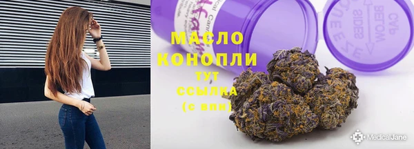 тгк Лагань