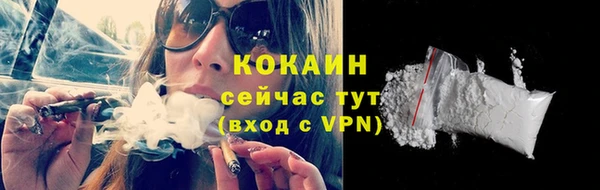 тгк Лагань