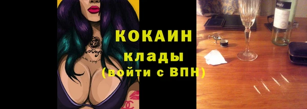 тгк Лагань