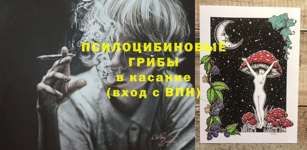 молекула духа Лиски