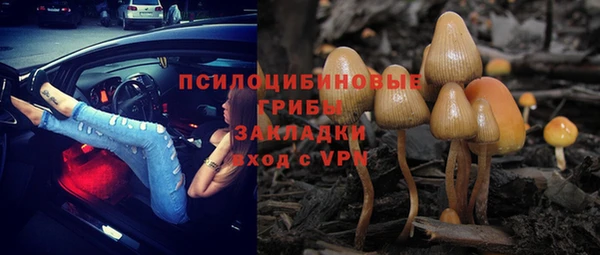 ПСИЛОЦИБИНОВЫЕ ГРИБЫ Липки
